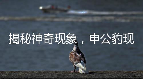 揭秘神奇現(xiàn)象，申公豹現(xiàn)身于盤中之謎