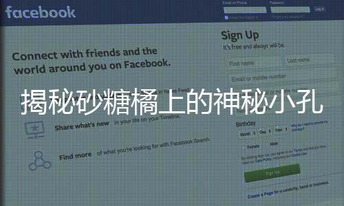 揭秘砂糖橘上的神秘小孔，背后的原因與探索