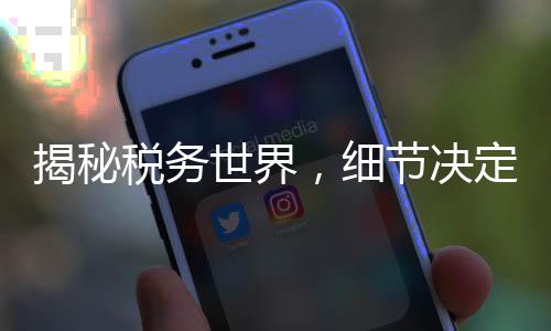 揭秘稅務(wù)世界，細(xì)節(jié)決定退稅與補(bǔ)稅的命運(yùn)