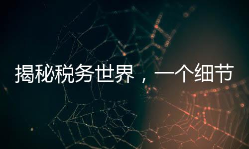 揭秘稅務(wù)世界，一個(gè)細(xì)節(jié)決定退稅還是補(bǔ)稅