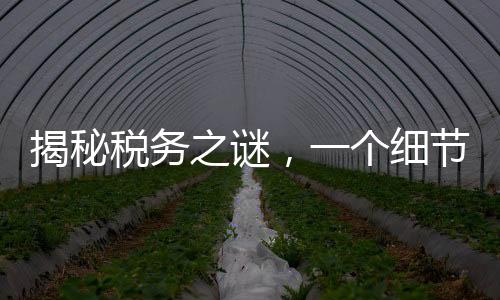 揭秘稅務(wù)之謎，一個(gè)細(xì)節(jié)決定退稅還是補(bǔ)稅