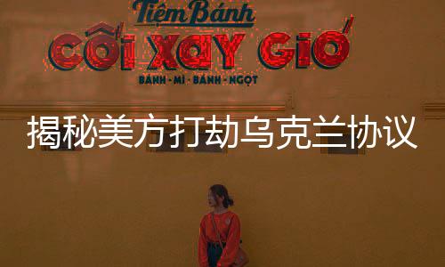 揭秘美方打劫烏克蘭協(xié)議細節(jié)曝光
