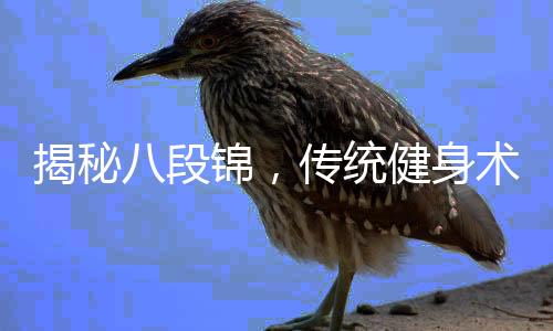 揭秘八段錦，傳統(tǒng)健身術(shù)的真實效用