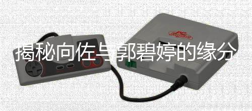 揭秘向佐與郭碧婷的緣分，劉維牽線促成佳偶天成？