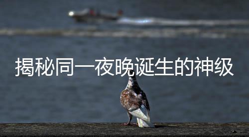 揭秘同一夜晚誕生的神級(jí)現(xiàn)場(chǎng)，神秘之夜喚醒無(wú)數(shù)驚艷時(shí)刻