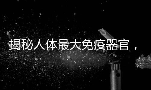 揭秘人體最大免疫器官，深入了解身體的第一道防線