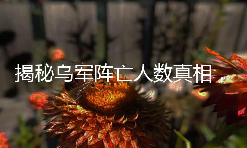 揭秘烏軍陣亡人數(shù)真相，數(shù)字背后的復(fù)雜戰(zhàn)爭(zhēng)