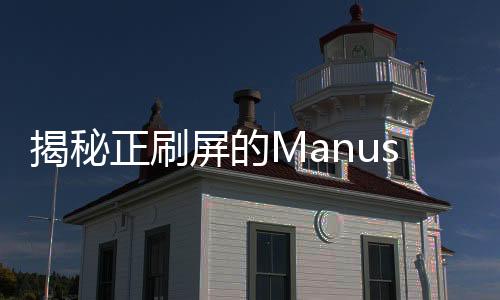 揭秘正刷屏的Manus，熱點背后的神秘存在