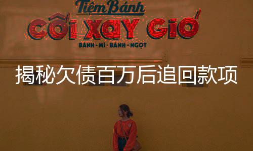 揭秘欠債百萬(wàn)后追回款項(xiàng)，竟需繳納高達(dá)32萬(wàn)的稅費(fèi)——深度解析