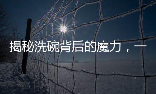 揭秘洗碗背后的魔力，一人洗碗，八萬(wàn)人圍觀的現(xiàn)象深度解析