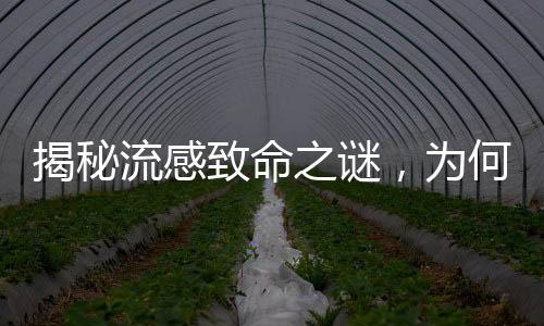 揭秘流感致命之謎，為何小小流感會奪走生命？