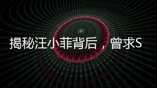 揭秘汪小菲背后，曾求S媽購買大型墓地，背后故事引人深思
