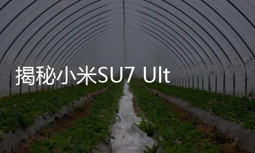 揭秘小米SU7 Ultra金車標(biāo)背后的故事——雷軍的獨到見解