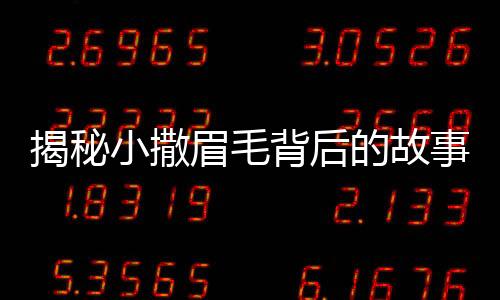 揭秘小撒眉毛背后的故事，誰為他的魅力加分？