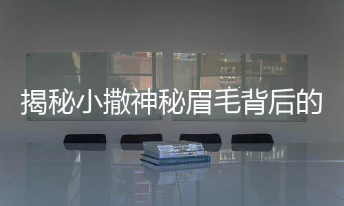 揭秘小撒神秘眉毛背后的故事，誰為小撒畫眉？