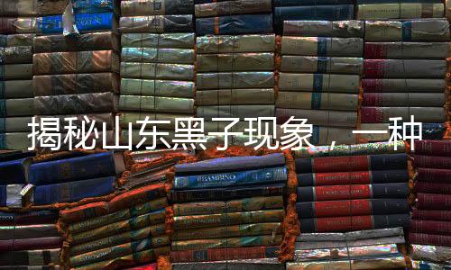 揭秘山東黑子現(xiàn)象，一種引人深思的社會(huì)現(xiàn)象觀察