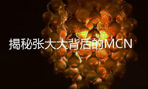 揭秘張大大背后的MCN公司，起底其背后的力量