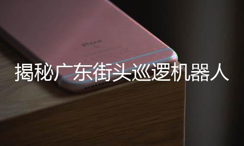 揭秘廣東街頭巡邏機器人的來歷