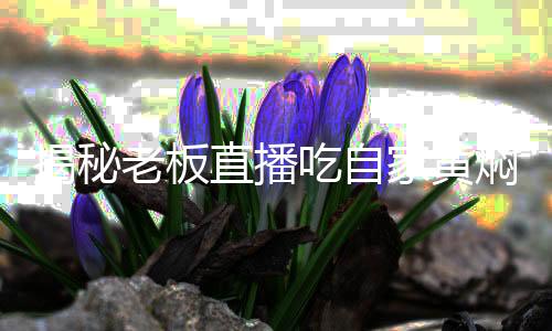 揭秘老板直播吃自家黃燜雞，一場(chǎng)關(guān)于誠(chéng)信的較量