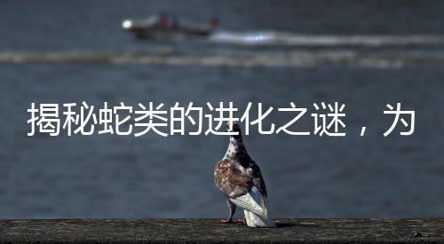 揭秘蛇類的進化之謎，為何逐漸失去四肢？