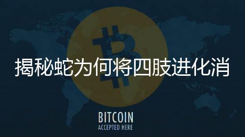 揭秘蛇為何將四肢進化消失？揭示神奇的物種進化歷程