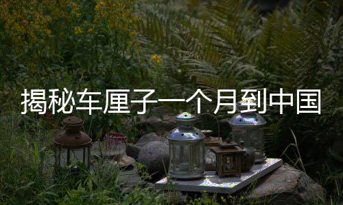 揭秘車?yán)遄右粋€(gè)月到中國(guó)不腐爛的秘密