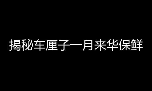 揭秘車厘子一月來華保鮮秘訣，科技護航下的奇跡果實