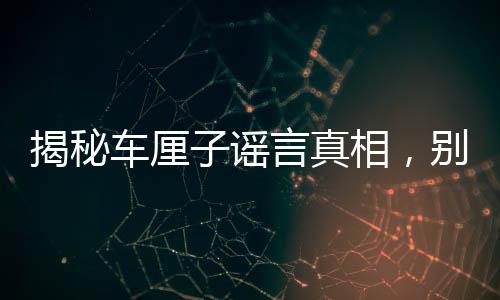 揭秘車?yán)遄又{言真相，別再輕信！
