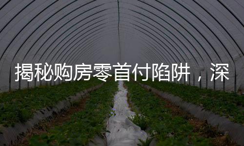 揭秘購房零首付陷阱，深度剖析風(fēng)險(xiǎn)隱患