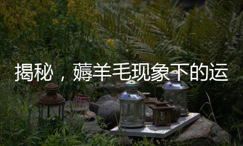 揭秘，薅羊毛現(xiàn)象下的運(yùn)費(fèi)險(xiǎn)亂象，涉案金額高達(dá)200多萬