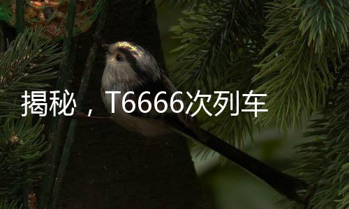 揭秘，T6666次列車真實(shí)存在，帶你領(lǐng)略獨(dú)特的列車之旅
