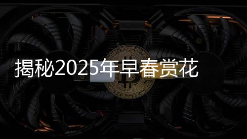 揭秘2025年早春賞花地圖，踏春賞花，盡享自然盛宴