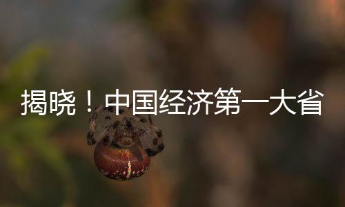 揭曉！中國經(jīng)濟(jì)第一大省的懸念——對粵港澳大灣區(qū)的未來展望（新聞分析）