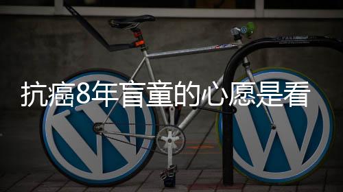 抗癌8年盲童的心愿是看哪吒2——一場(chǎng)生命與夢(mèng)想的愛(ài)與奇跡之旅