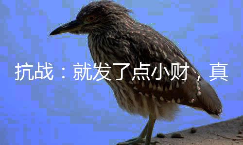 抗戰(zhàn)：就發(fā)了點(diǎn)小財(cái)，真沒建國(guó)！