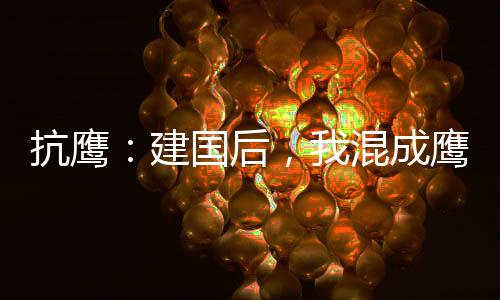 抗鷹：建國(guó)后，我混成鷹派大元帥