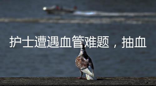護士遭遇血管難題，抽血過程中的連續(xù)挑戰(zhàn)與護理藝術(shù)