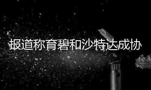 報(bào)道稱(chēng)育碧和沙特達(dá)成協(xié)議開(kāi)發(fā)《刺客信條：幻景》新內(nèi)容 育碧拒絕置評(píng)