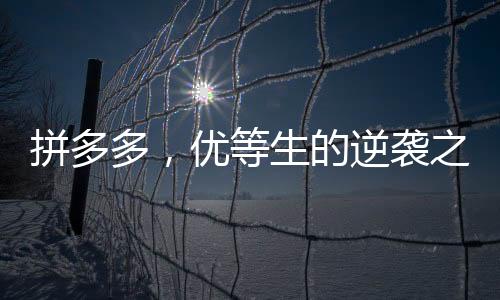 拼多多，優(yōu)等生的逆襲之路——沒考好的優(yōu)等生仍舊被偏愛