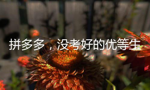 拼多多，沒考好的優(yōu)等生仍舊被偏愛