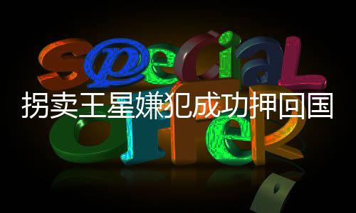 拐賣王星嫌犯成功押回國，跨國司法合作展現(xiàn)成效