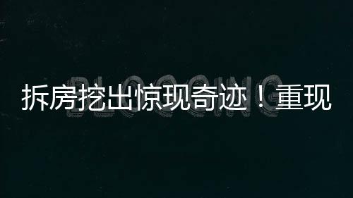 拆房挖出驚現(xiàn)奇跡！重現(xiàn)罕見40斤重娃娃魚寶寶重磅報道
