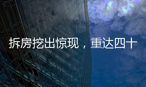 拆房挖出驚現(xiàn)，重達(dá)四十斤娃娃魚(yú)傳奇故事
