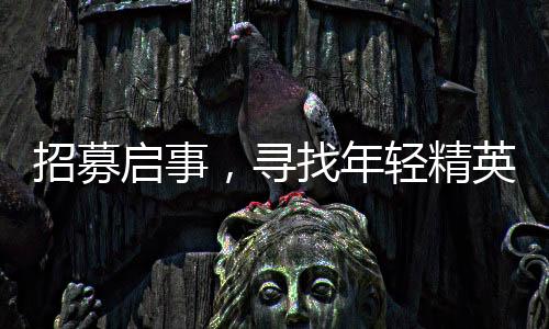 招募啟事，尋找年輕精英擔任保安崗位，年齡35歲以下，共招1750人