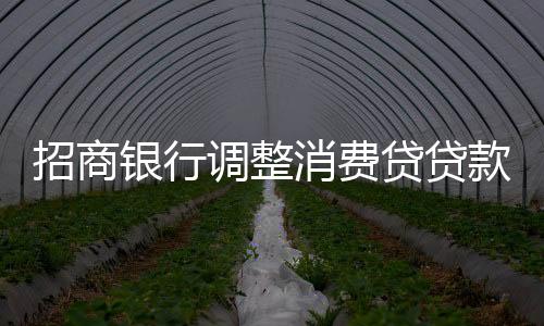 招商銀行調(diào)整消費(fèi)貸貸款期限，新的政策與未來展望