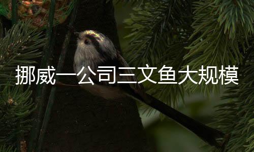 挪威一公司三文魚大規(guī)模出逃，引發(fā)業(yè)界關(guān)注