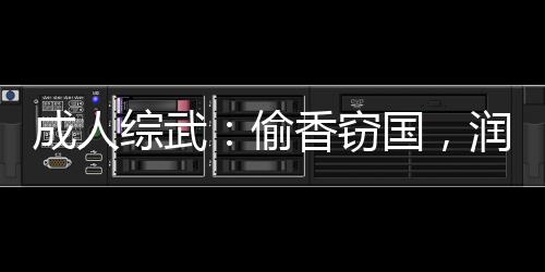 成人綜武：偷香竊國，潤爆女俠們
