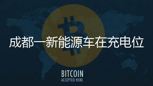 成都一新能源車在充電位上起火事件揭秘，事故起因、應(yīng)對(duì)與反思