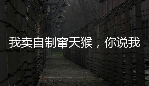 我賣自制竄天猴，你說我賣軍火？