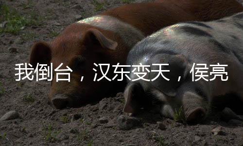 我倒臺(tái)，漢東變天，侯亮平人麻了